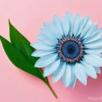 Home 6 소변 잔뇨감 원인과 치료법 - Here are three detailed image generation prompts in English, designed to adhere to your strict guide...