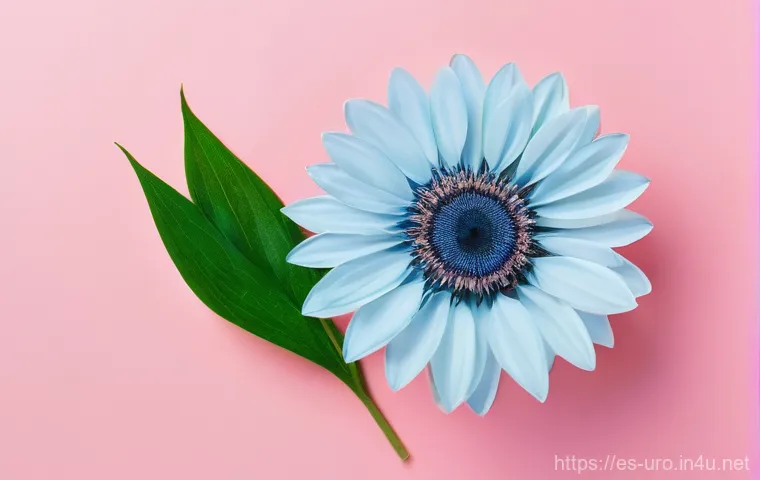 소변 잔뇨감 원인과 치료법 - Here are three detailed image generation prompts in English, designed to adhere to your strict guide...